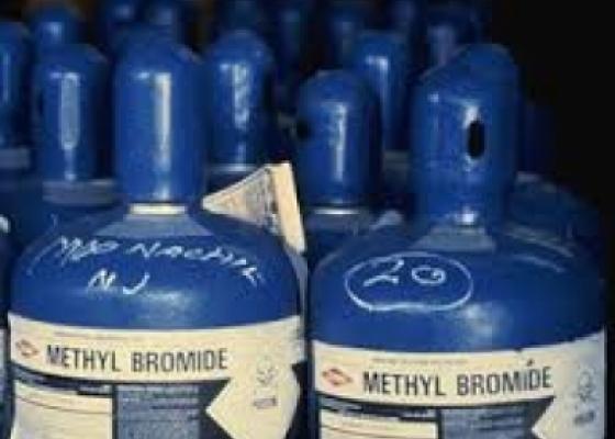 Hoạt chất Methyl Bromide 98%, dùng để xông hơi khử trùng
